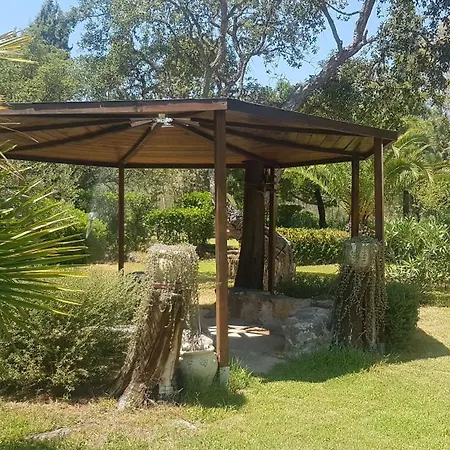 Apartment Casa Pina